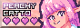 peachycatto.png